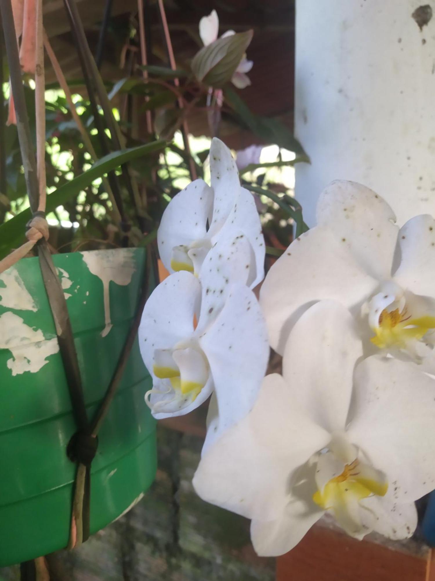 Eco Aldea Topacio Sasaima Εξωτερικό φωτογραφία